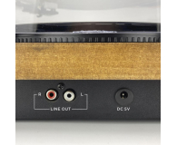 AIWA GBTUR-120 MKII Drewniany - 1260425 - zdjęcie 9